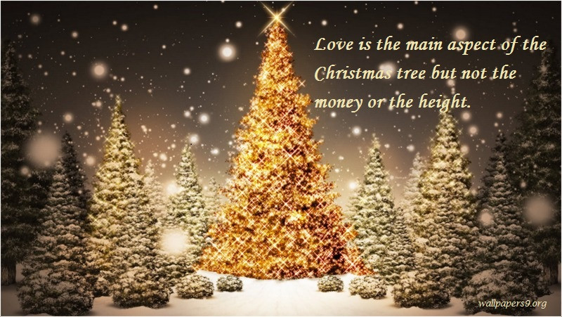 Christmas Trees Quotes
 2017 Christmas Tree Quotes – Wallpapers9