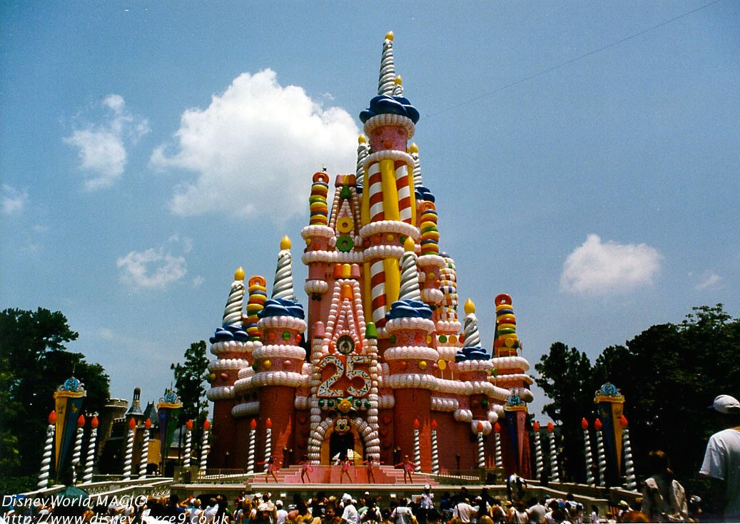 Cinderella Castle Birthday Cake
 Six Things We Can t Believe Happened at Walt Disney World