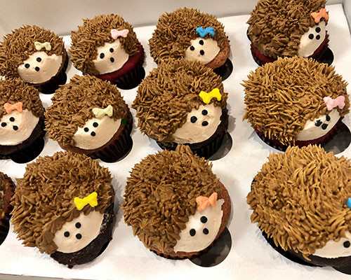 Classy Girl Cupcakes
 Hedgehog Cupcakes – Classy Girl Cupcakes