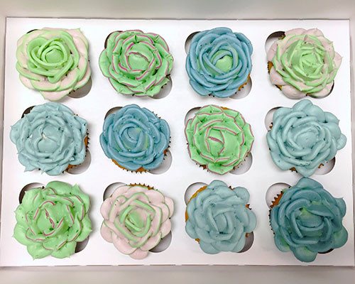 Classy Girl Cupcakes
 Succulent Cupcakes – Classy Girl Cupcakes