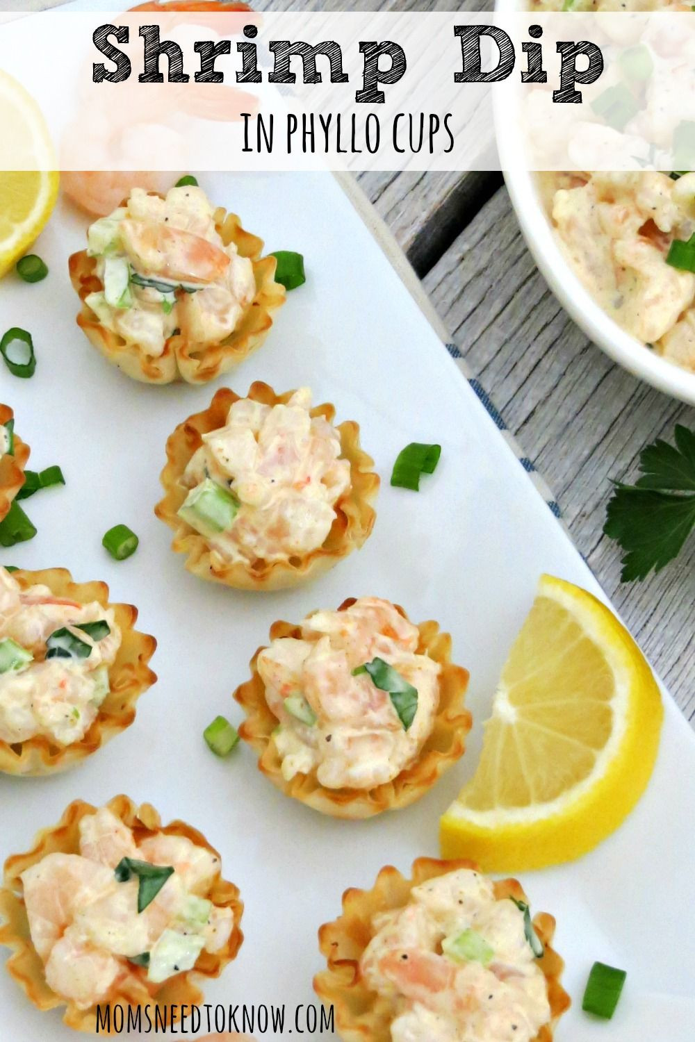 Cold Seafood Appetizers
 Cold Shrimp Dip in Phyllo Cups Recipe