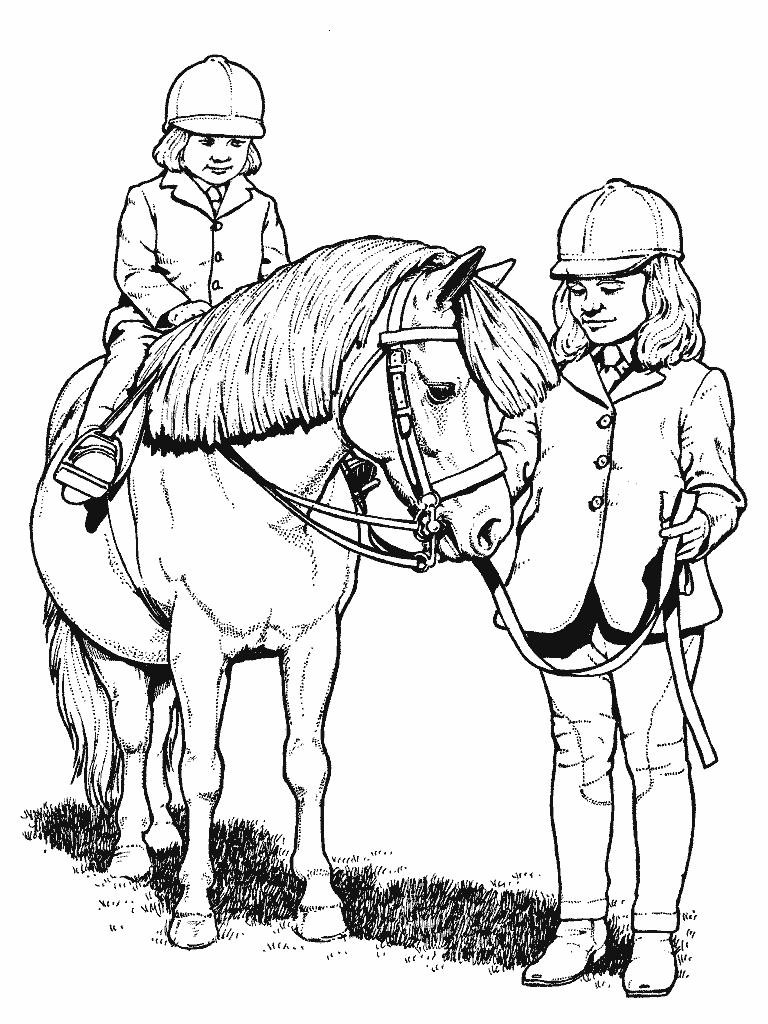 Coloring Pages For Children
 Horse coloring pages for kids
