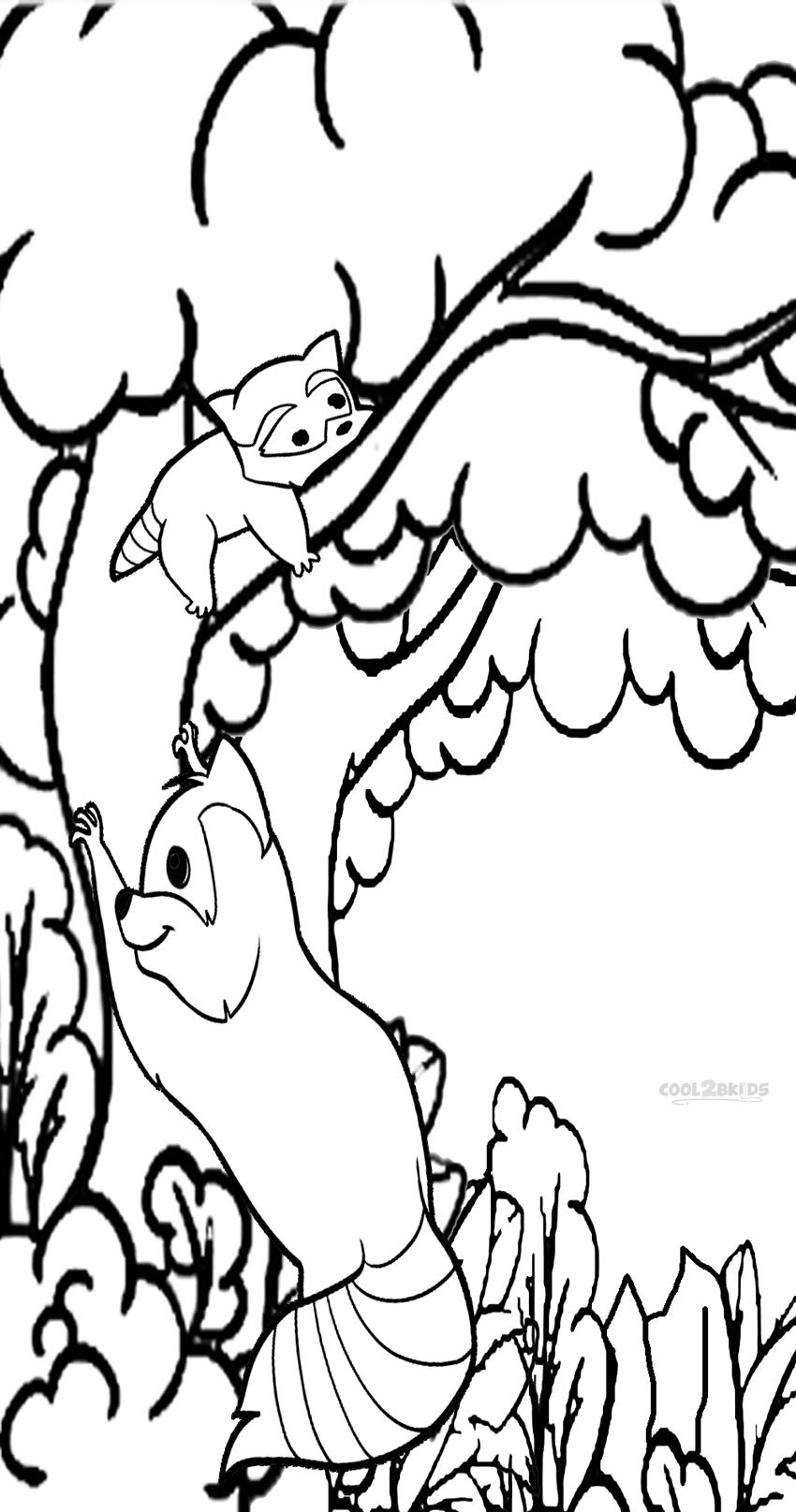 Coloring Pages For Children
 Printable Raccoon Coloring Pages For Kids