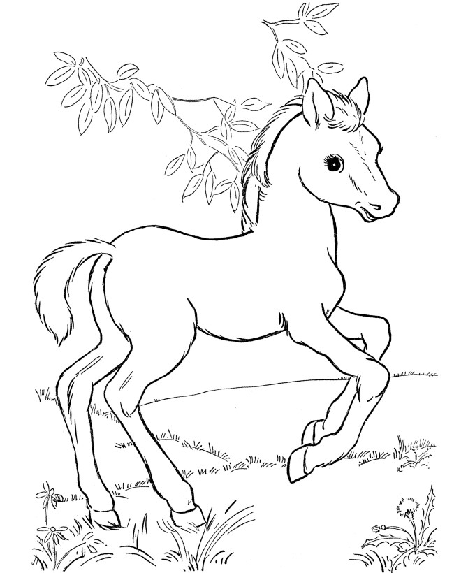 Coloring Pages For Children
 Horse coloring pages for kids