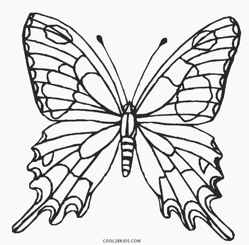 Coloring Pages For Kids Butterfly
 Printable Butterfly Coloring Pages For Kids