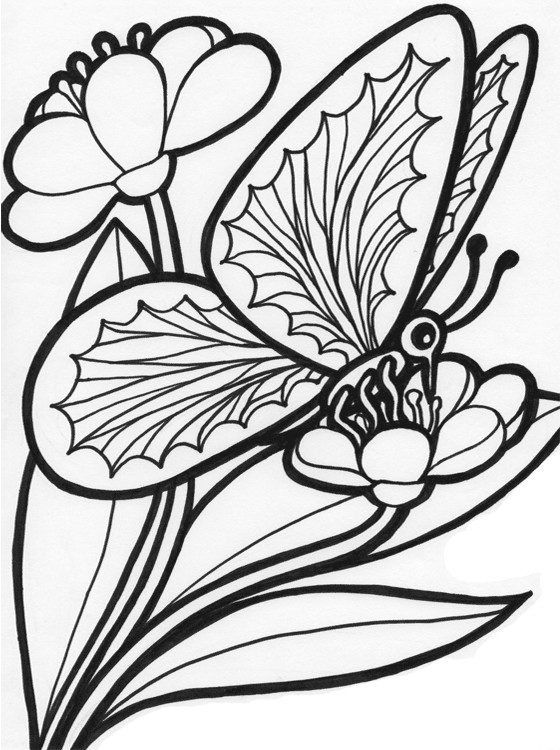 Coloring Pages For Kids Butterfly
 Kids Page Butterfly Coloring Pages