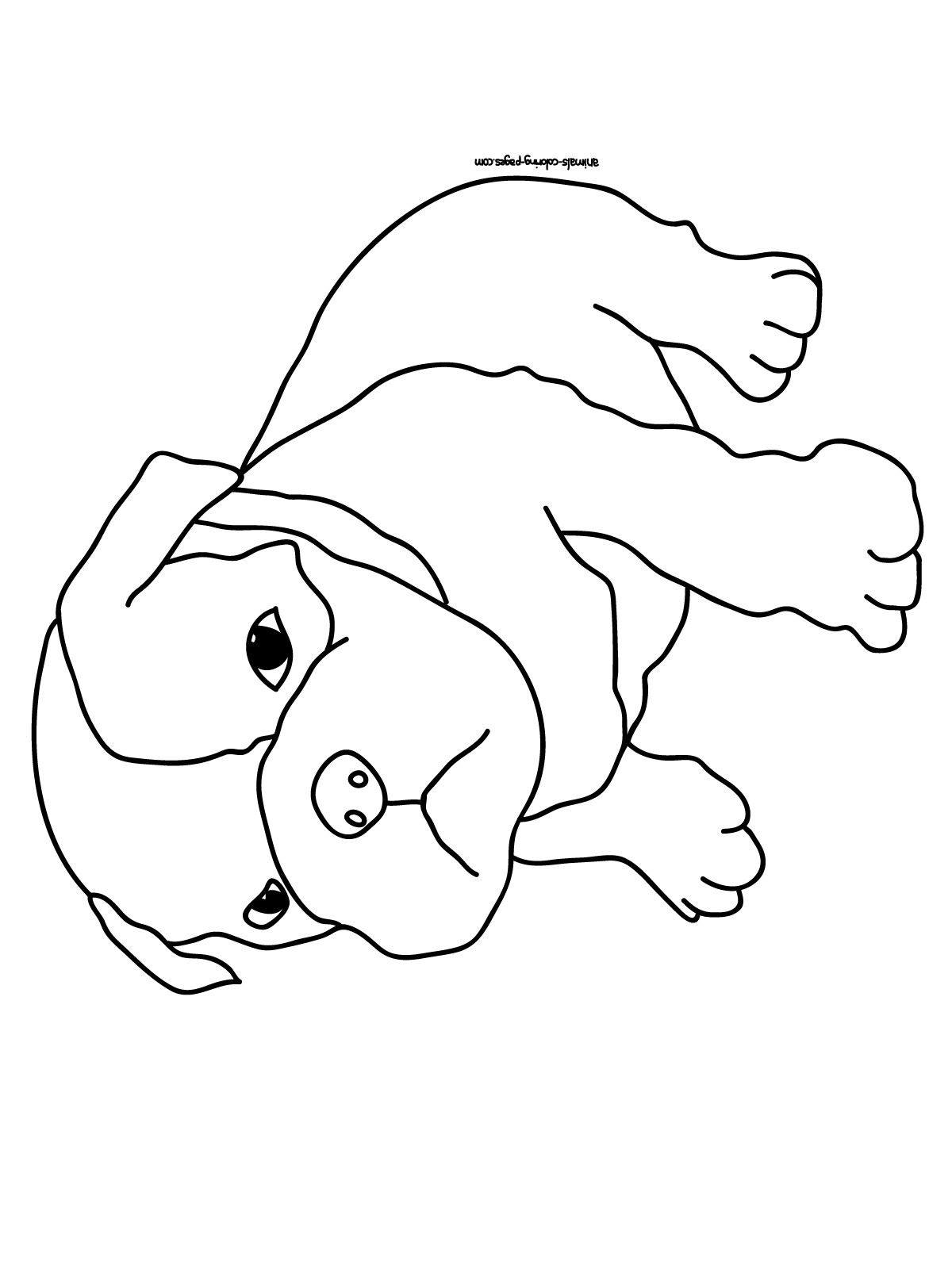 Coloring Pages For Kids Dogs
 Dog Coloring Pages 2019 Best Cool Funny