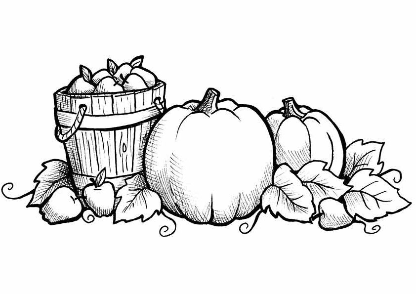 Coloring Pages For Kids Fall
 Free Printable Fall Coloring Pages for Kids Best