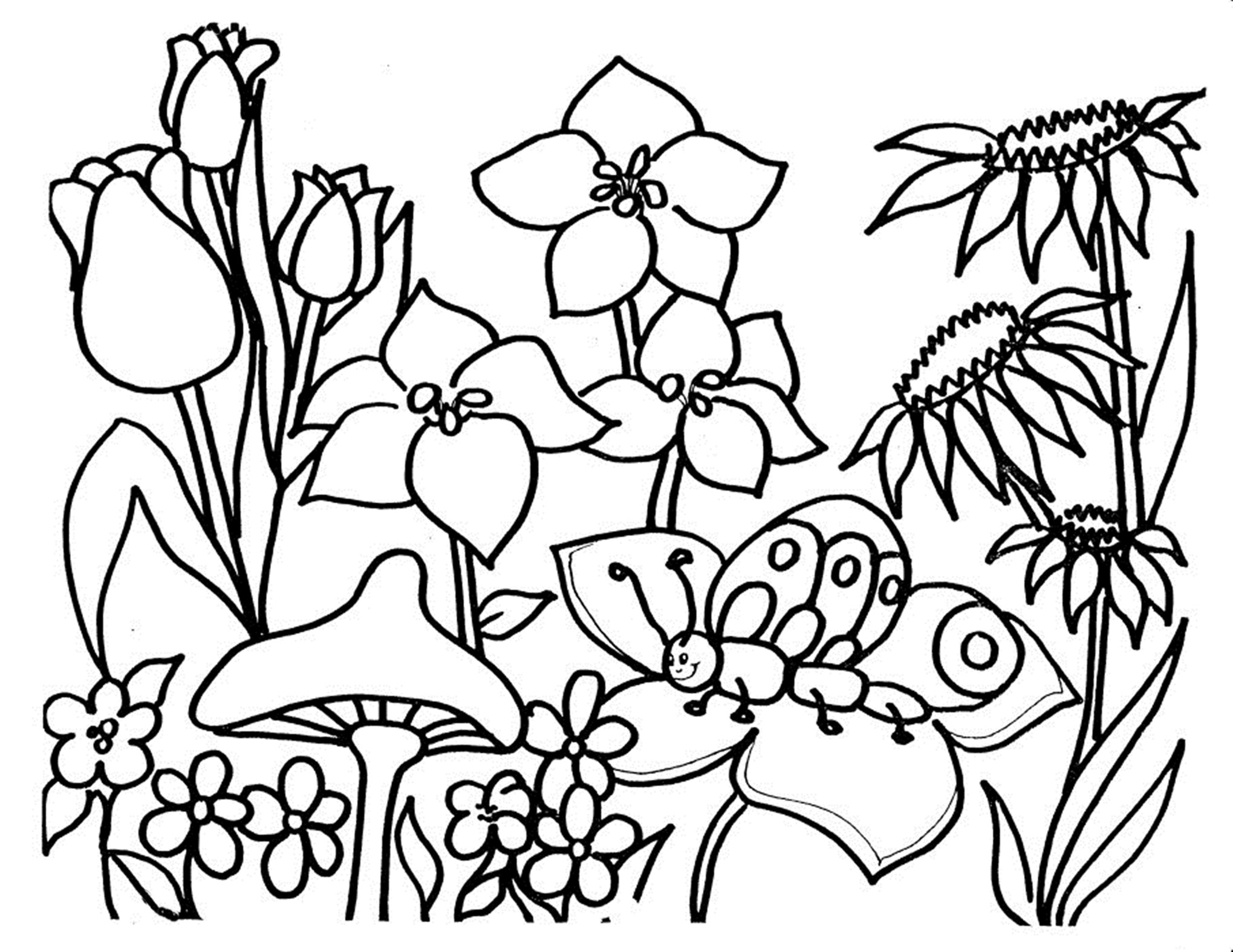 Coloring Pages For Kids Flowers
 Free Printable Flower Coloring Pages For Kids Best