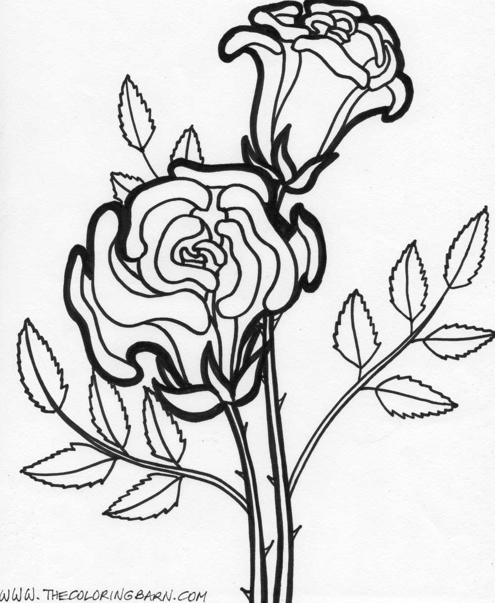 Coloring Pages For Kids Flowers
 Coloring Pages Worksheets Simple Flower Coloring Pages