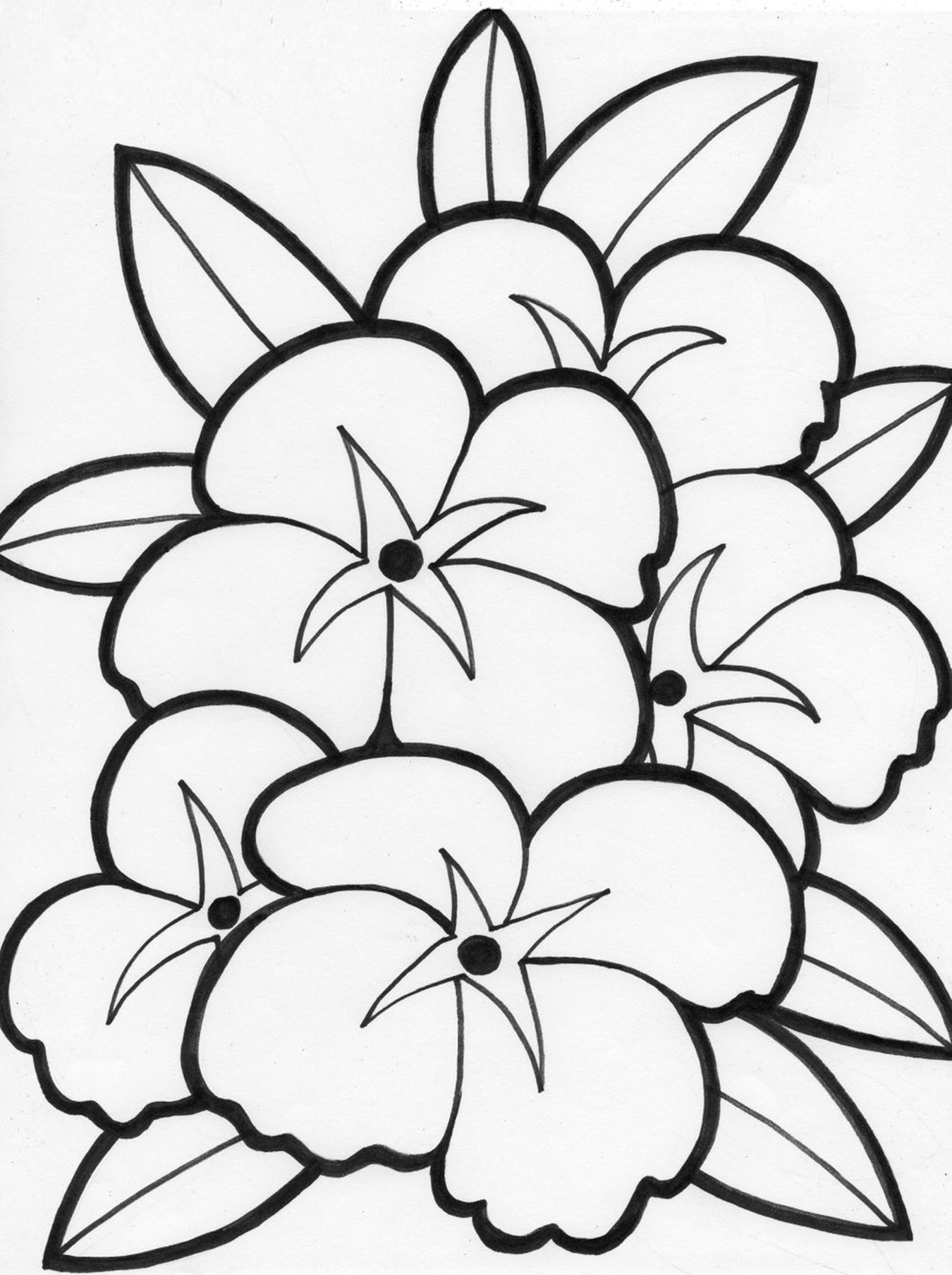 Coloring Pages For Kids Flowers
 Free Printable Flower Coloring Pages For Kids Best