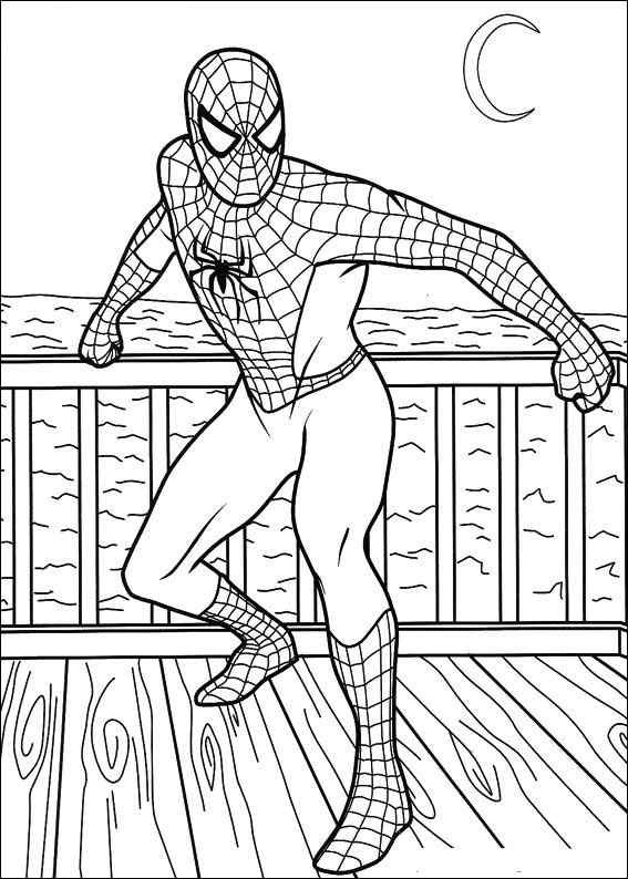 Coloring Pages For Kids Spiderman
 Spiderman Coloring Pages