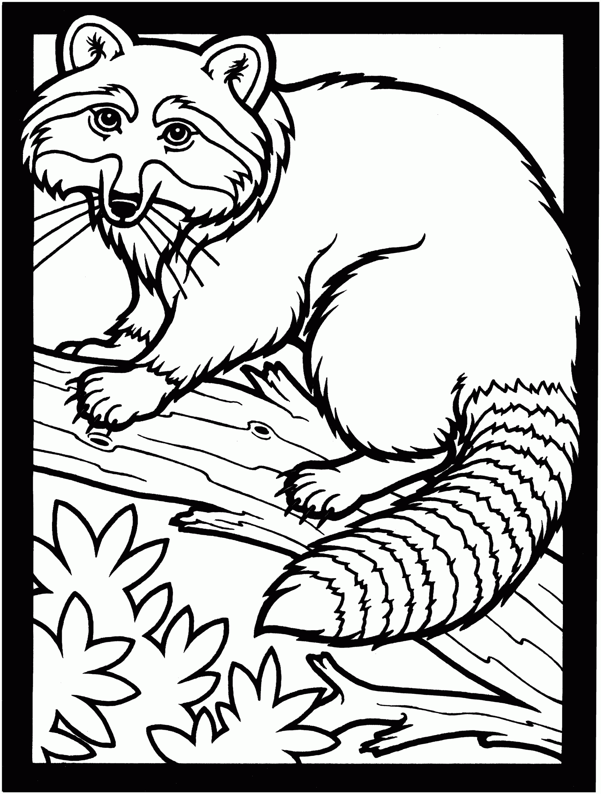 Coloring Sheet Free Printable
 Free Raccoon Coloring Pages