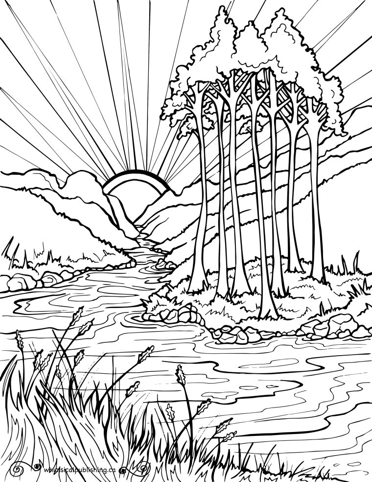 Coloring Sheet Free Printable
 Free Colouring Pages
