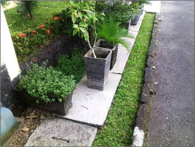 Concrete Landscape Edging Cost
 Concrete Landscape Curbing Cost Per Foot