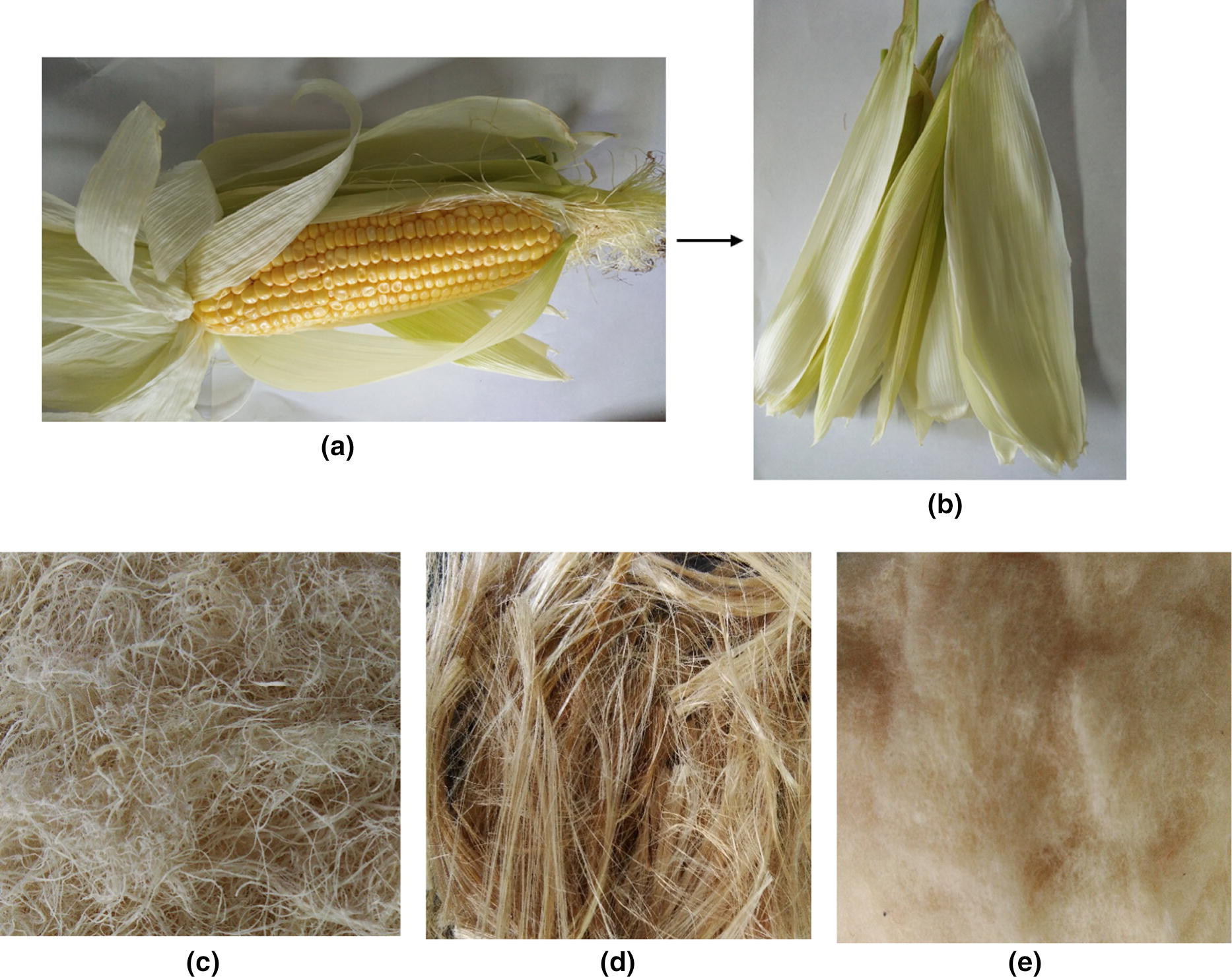 Corn Fiber Content
 Corn fiber – an exciting addition to the world of fabrics