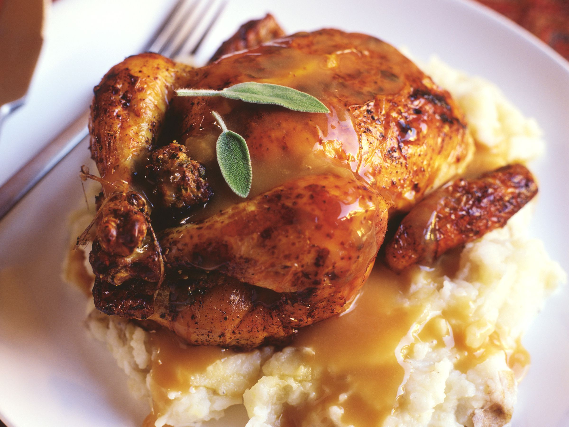 Cornish Game Hens Recipe
 Cornish Game Hen Glaze Recipes From Citrus to Apricot