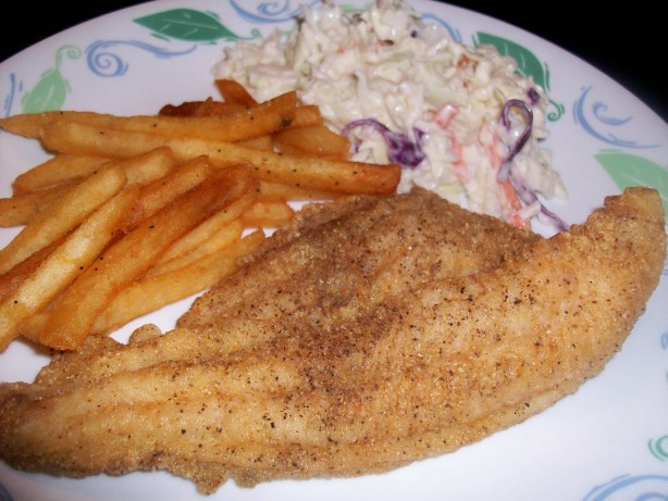 Cornmeal Fish Fry
 Cornmeal Crusted Oven Fried Catfish Ww Core Recipe Food