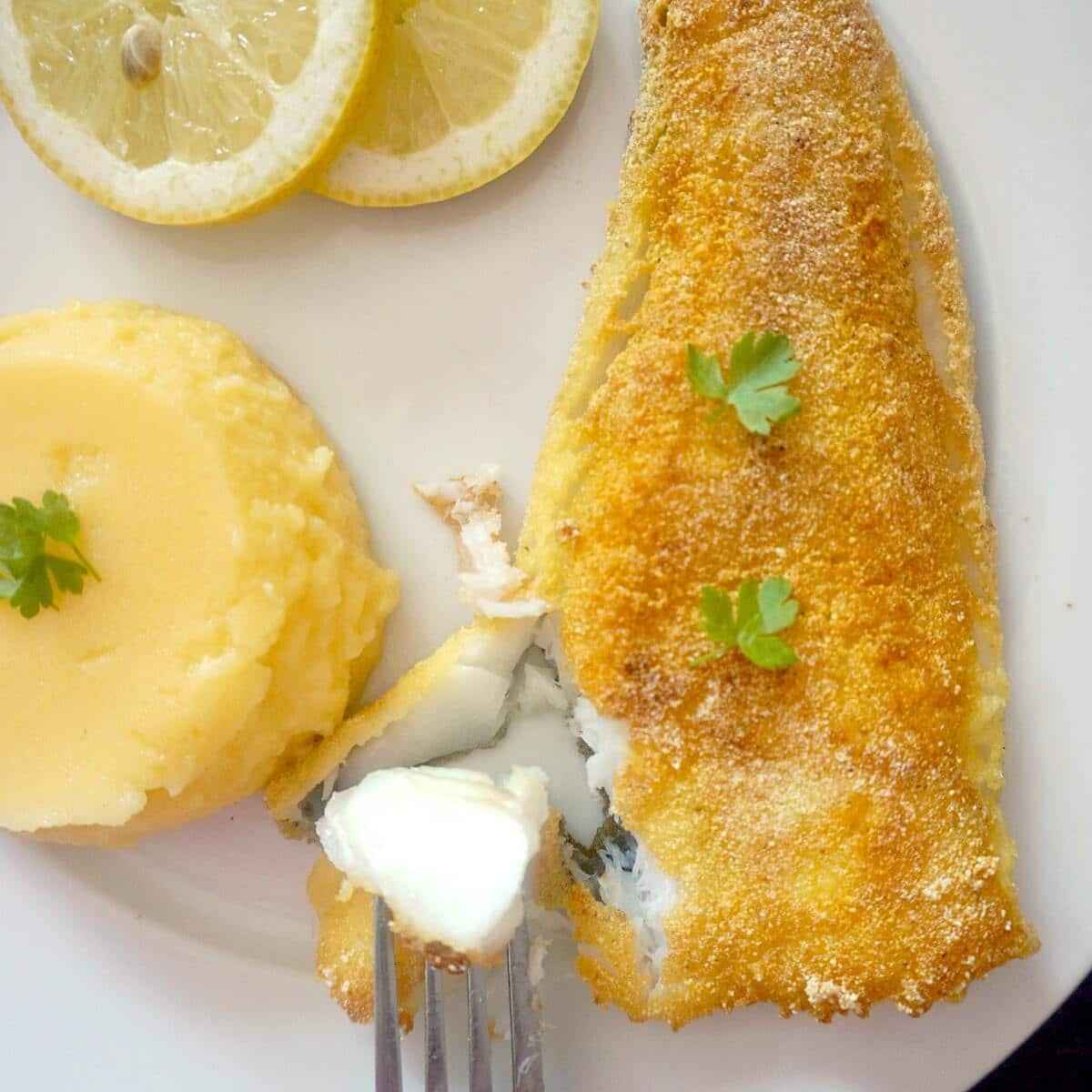 Cornmeal Fish Fry
 Cornmeal Fried Fish My Gorgeous Recipes