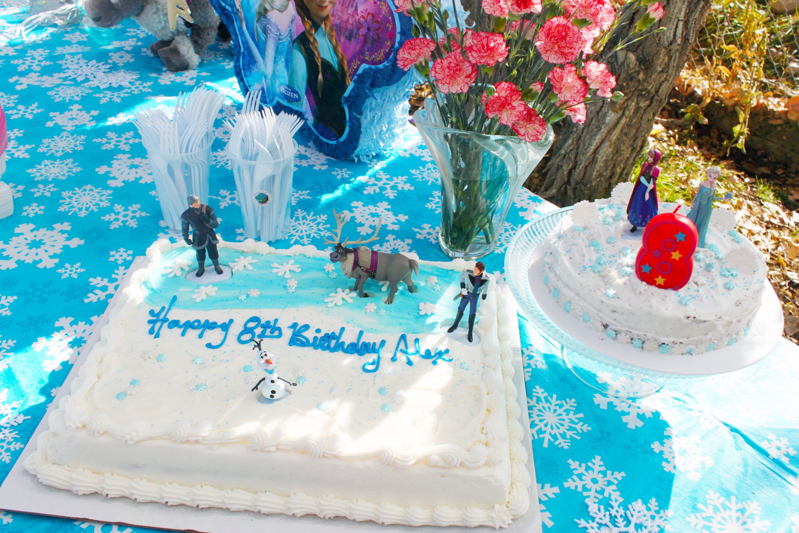 Costco Birthday Cakes
 My Daughters outdoor “Frozen” Birthday Party in November