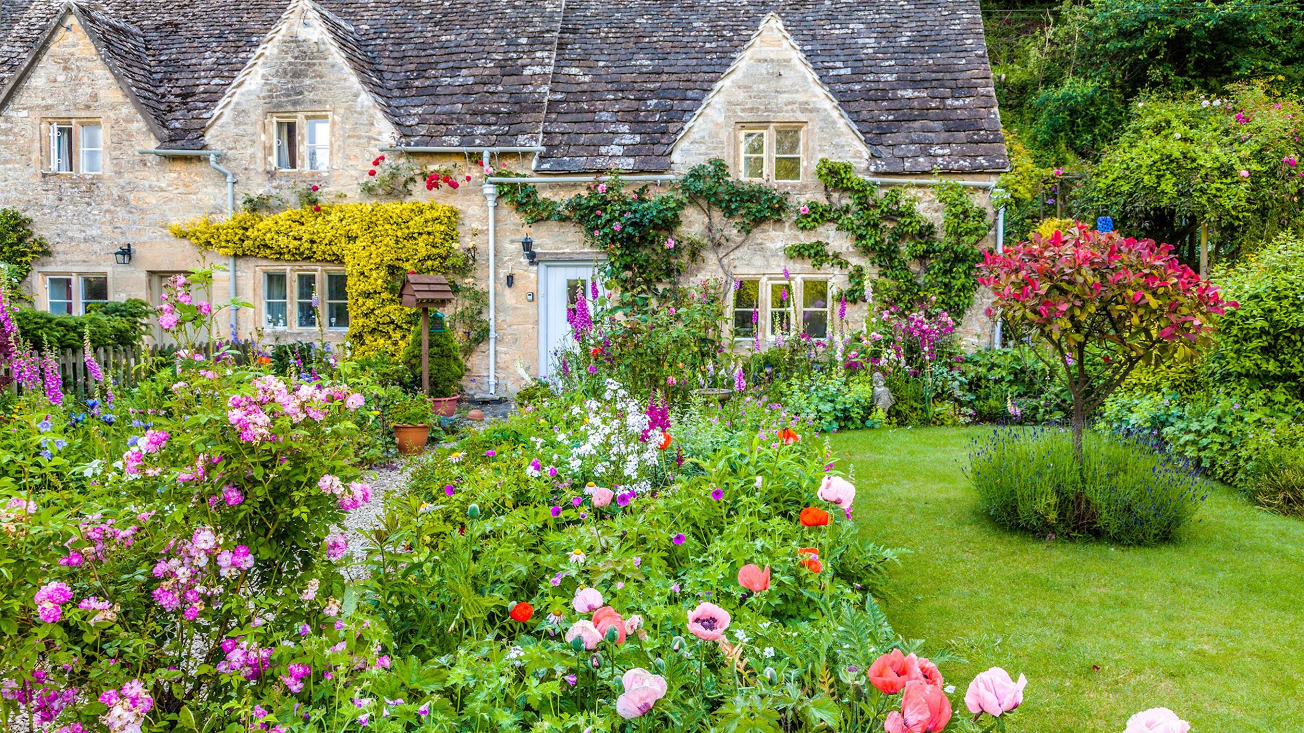 Country Outdoor Landscape
 A classic cottage garden borders on fantasy land