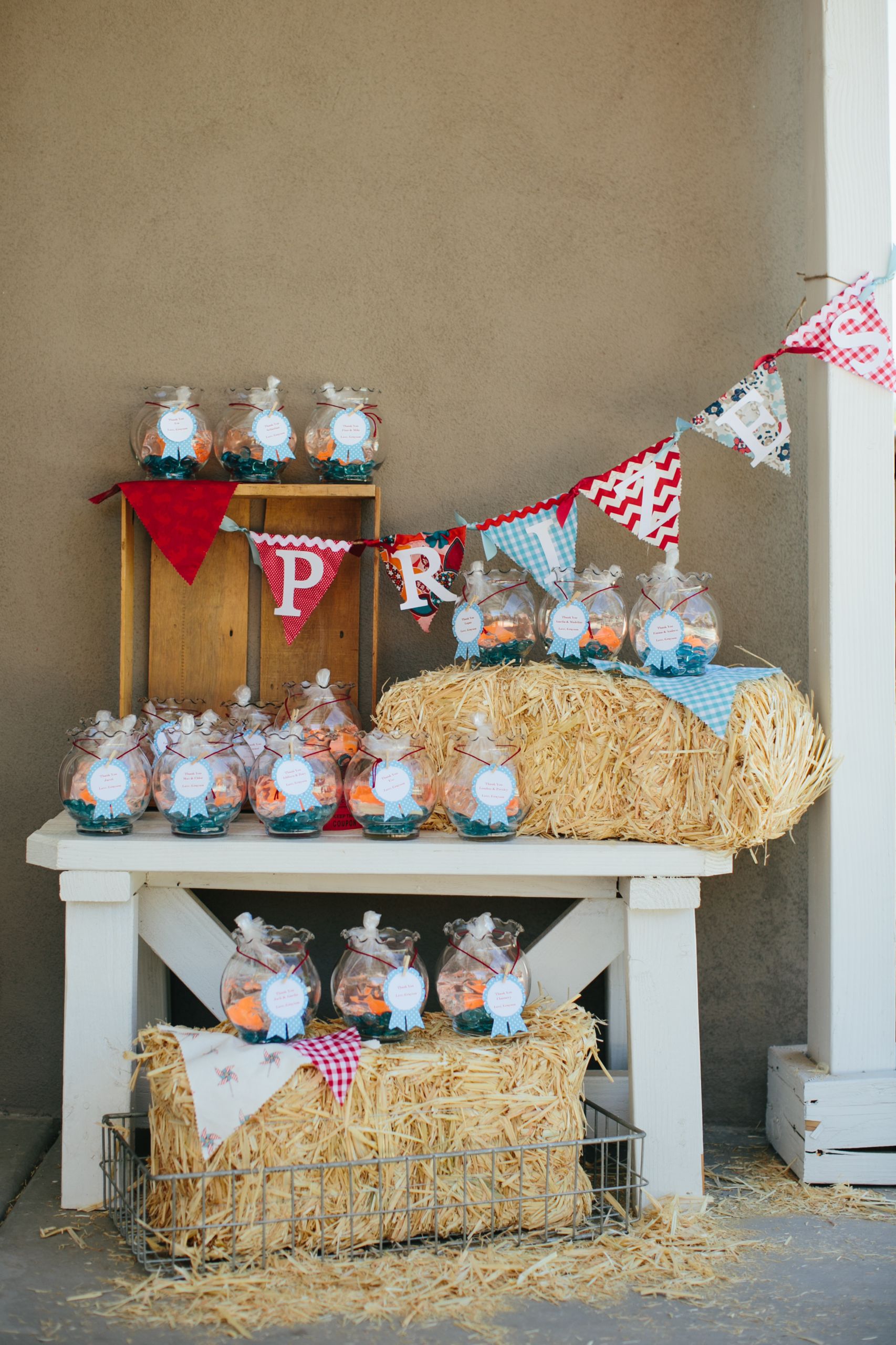 Country Themed Birthday Party
 Country Fair Birthday Party Everyday Party Magazine