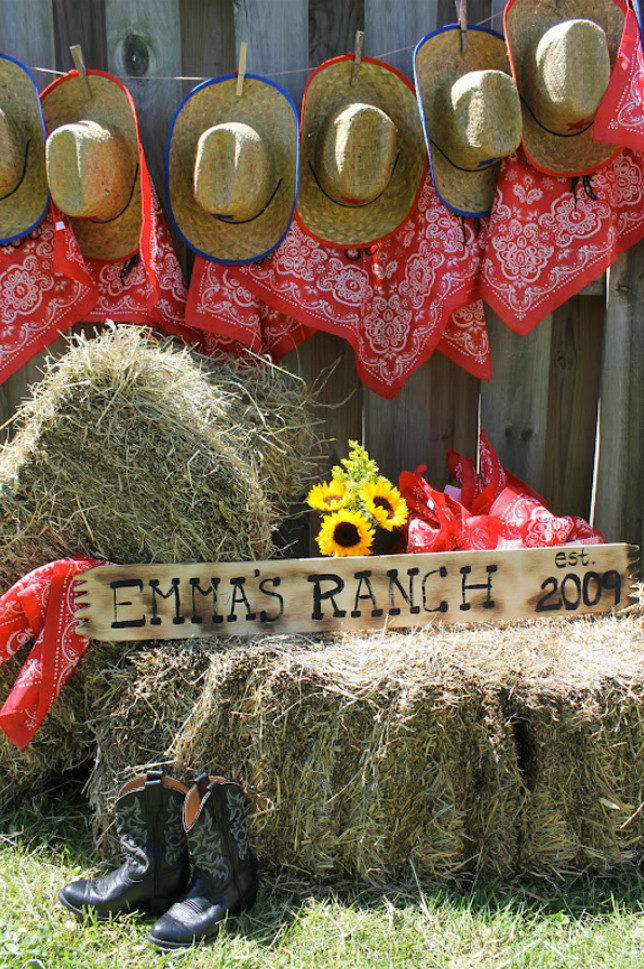 Country Themed Birthday Party
 Top 10 Most Popular Birthday Parties