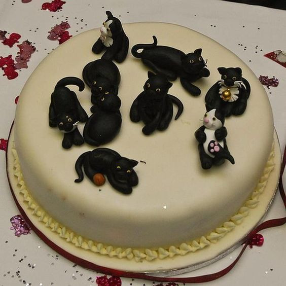 Crazy Cat Lady Birthday Cake
 crazy cat lady cake Felinity Pinterest