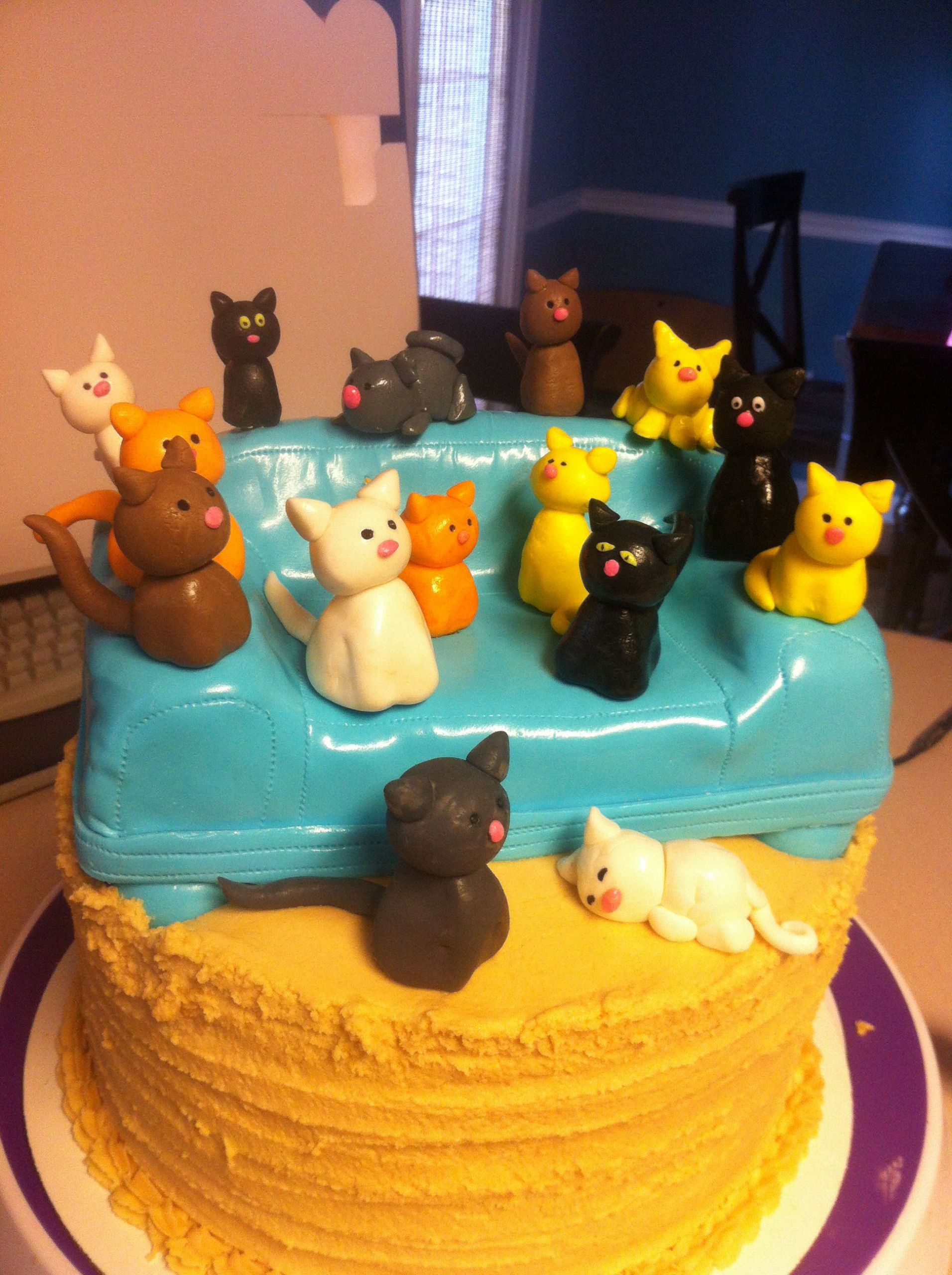 Crazy Cat Lady Birthday Cake
 Crazy cat lady cake cakes