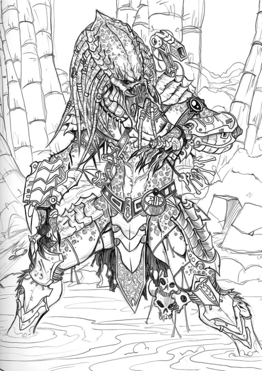 Crazy Coloring Pages For Adults
 Predator Color Sequence01 by Xeno Crazy on DeviantArt