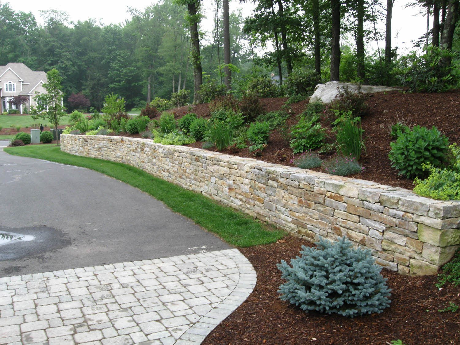 Creative Landscape Design
 Testimonials Creative Landscape & Design