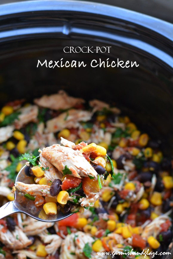 Crockpot Mexican Recipes
 Crock Pot Mexican Chicken Garnish & Glaze