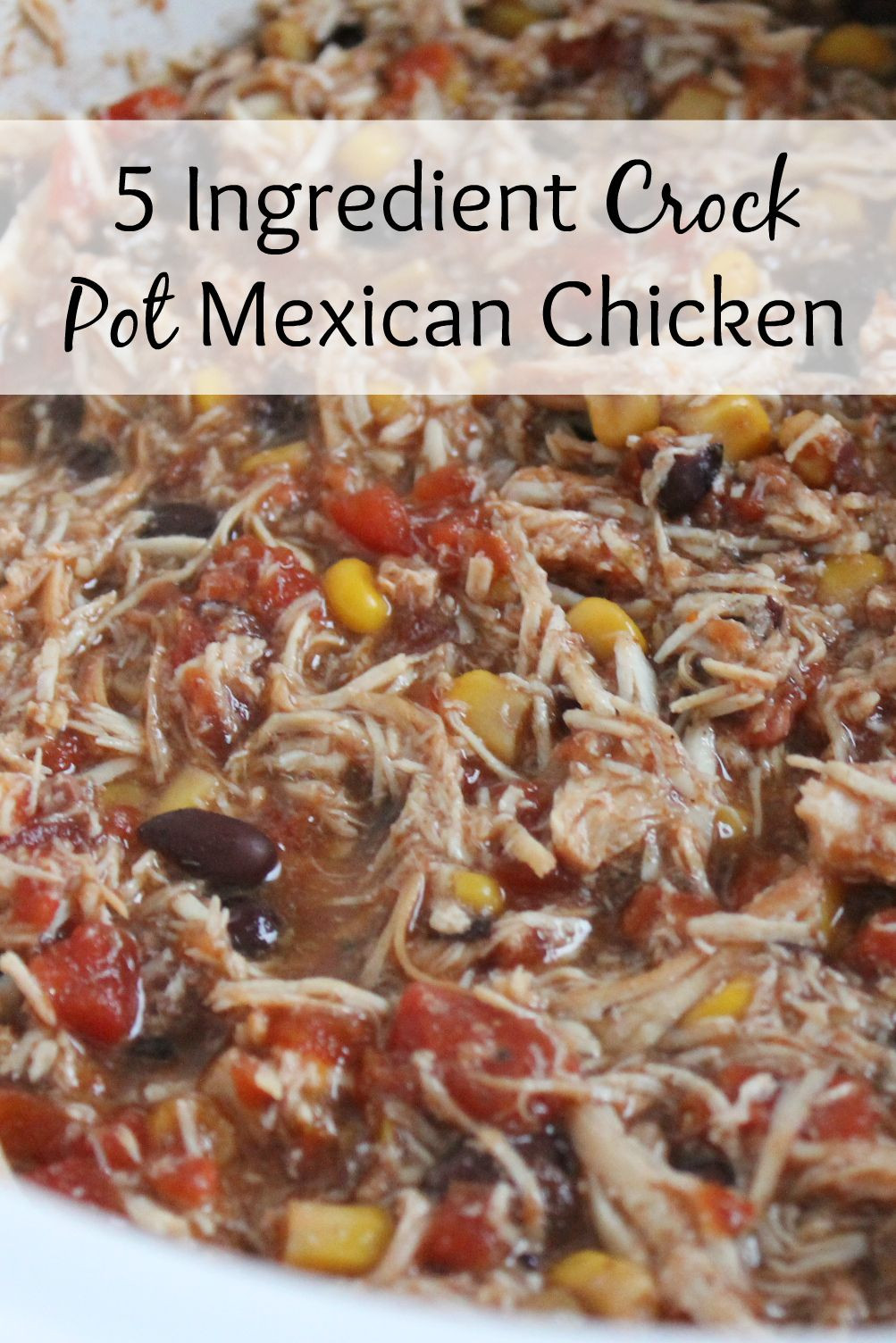 Crockpot Mexican Recipes
 5 Ingre nt Crock Pot Mexican Chicken