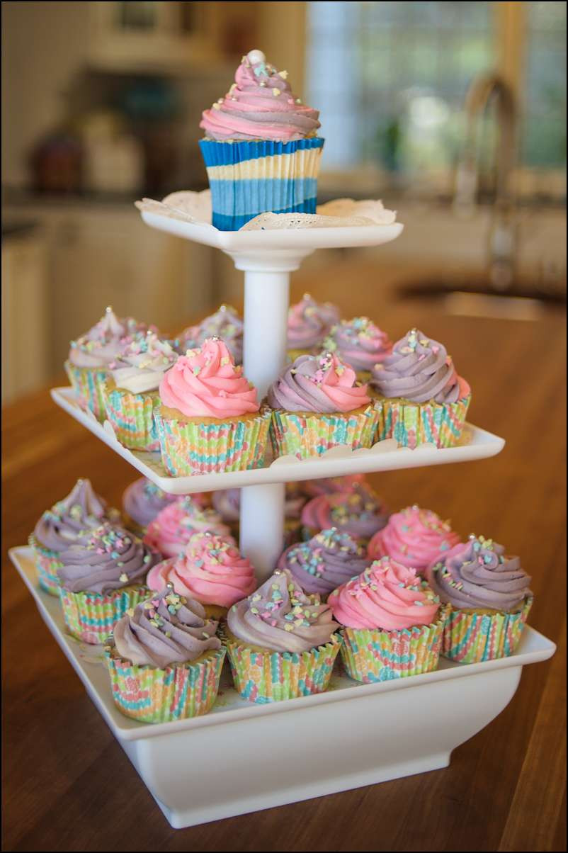 Cupcake Birthday Party
 Spring Birthday Party Cupcakes