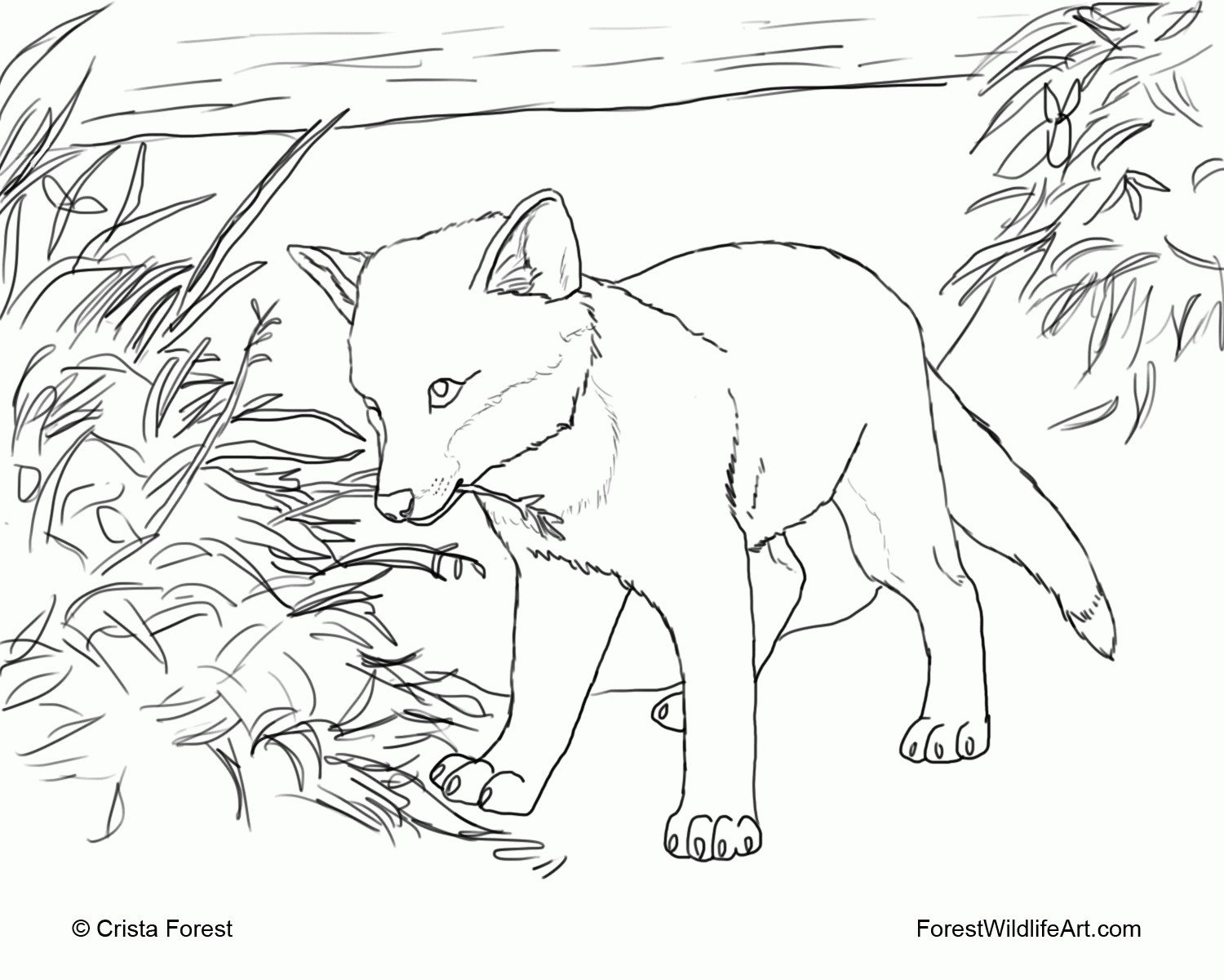 Cute Baby Fox Coloring Pages
 Cute Baby Fox Coloring Pages Coloring Home