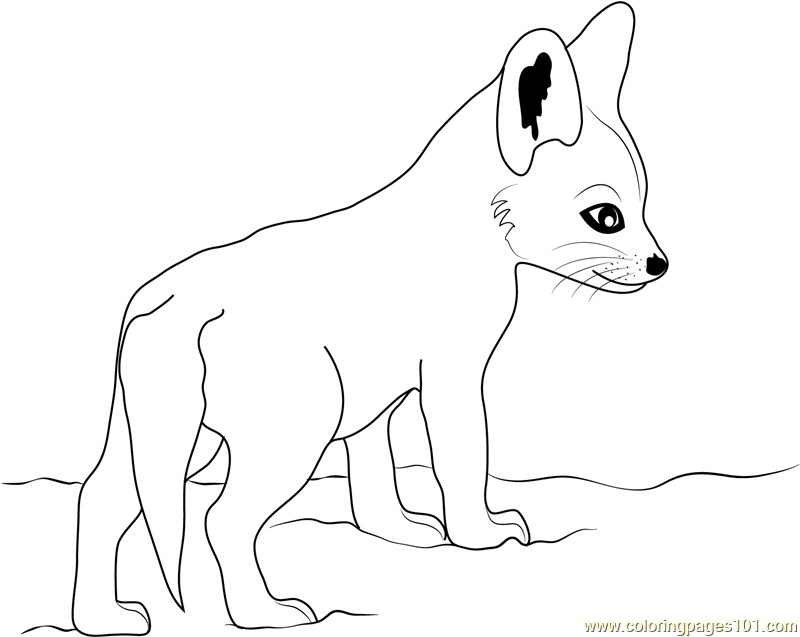 Cute Baby Fox Coloring Pages
 Cute Baby Fox Coloring Page Free Fox Coloring Pages