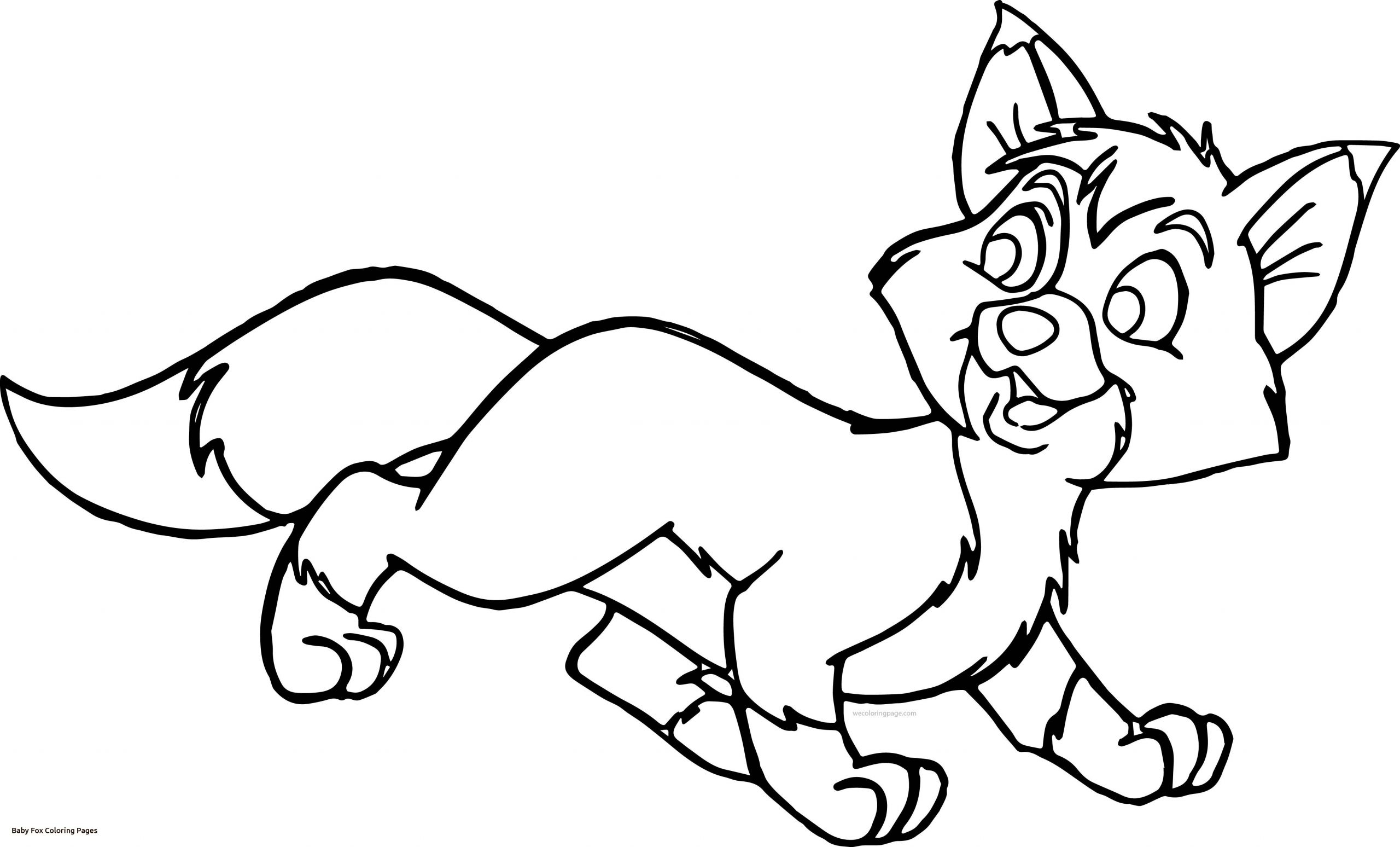 Cute Baby Fox Coloring Pages
 Cute Fox Coloring Pages Free Coloring Library