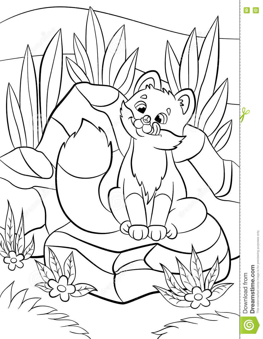 Cute Baby Fox Coloring Pages
 Coloring Pages Wild Animals Little Cute Baby Fox Looks