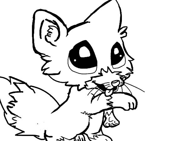 Cute Baby Fox Coloring Pages
 Cute baby fox coloring page Download & Print line