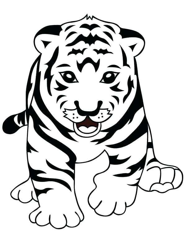 Cute Baby Tiger Coloring Pages
 Cute Baby Tiger Coloring Pages at GetColorings
