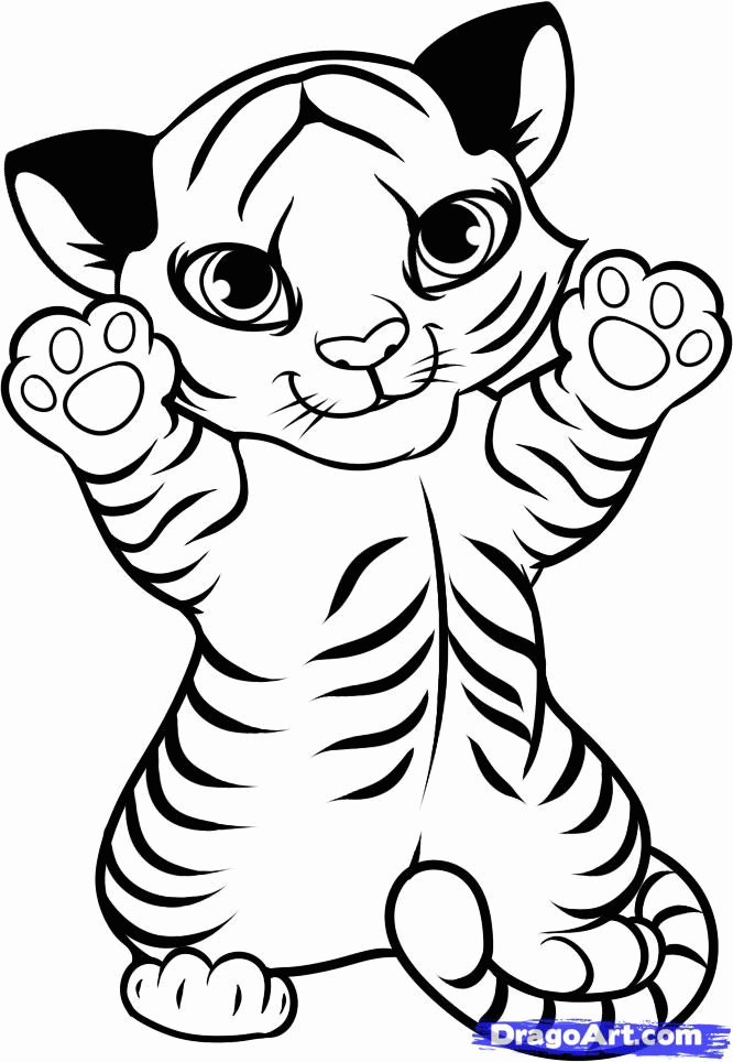 Cute Baby Tiger Coloring Pages
 Cute Baby Tiger Coloring Pages Coloring Home