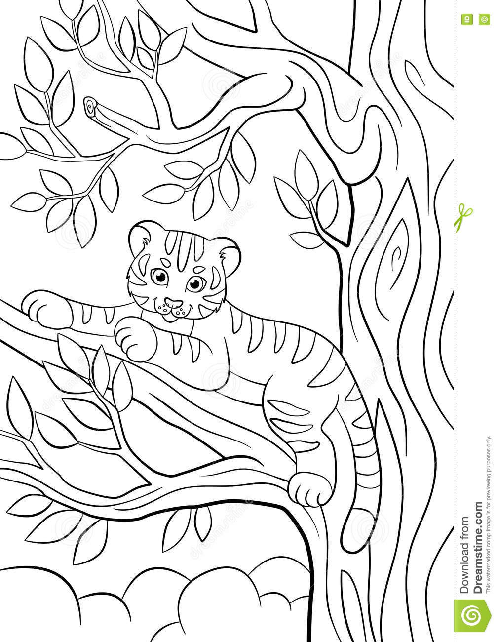 Cute Baby Tiger Coloring Pages
 Coloring Pages Wild Animals Little Cute Baby Tiger