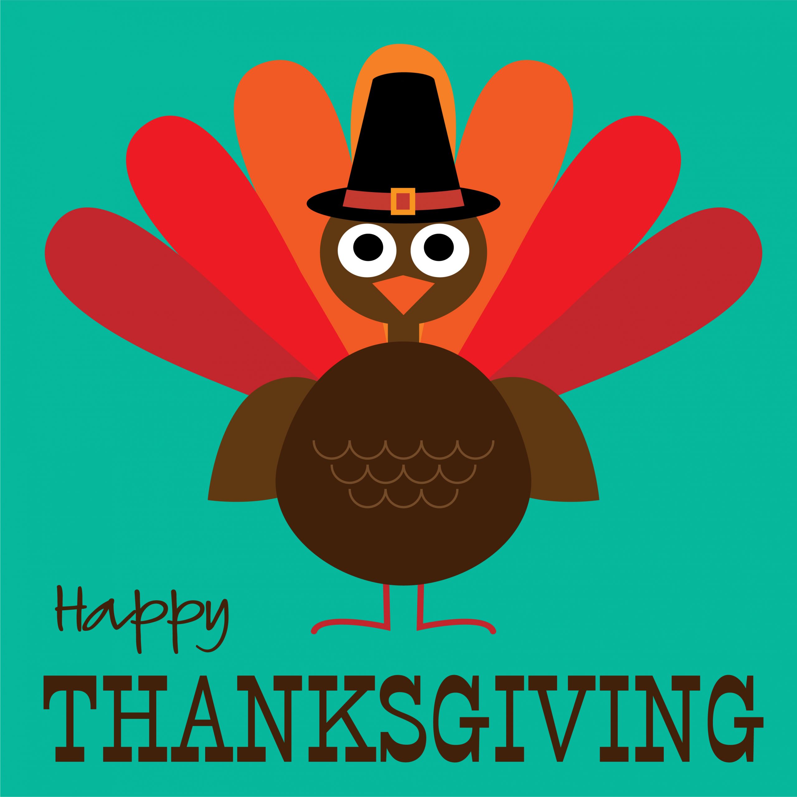 Cute Thanksgiving Turkey
 thanksgiving cute turkey graphic Download Free Vectors