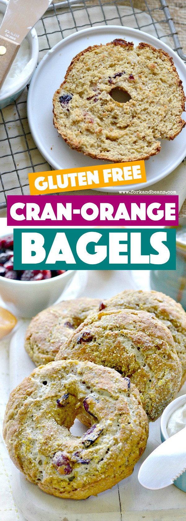 Dairy Free Bagels
 Gluten Free Vegan Cranberry Orange Bagels Fork and Beans