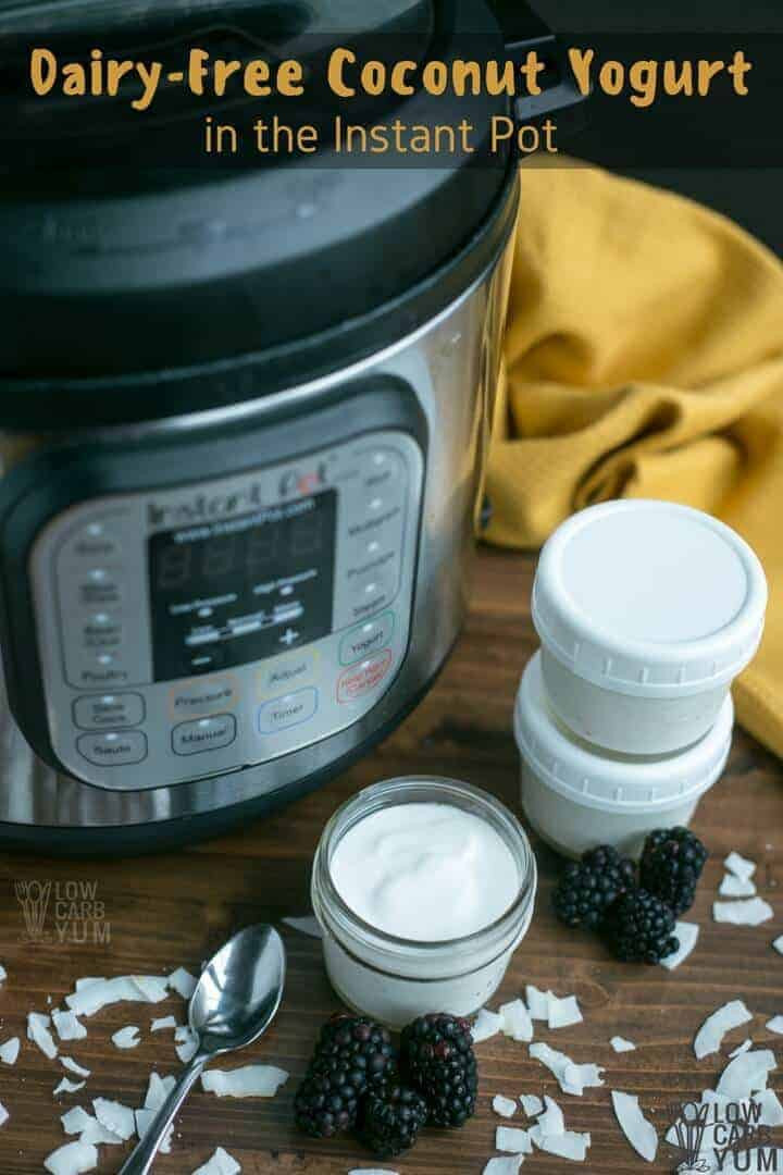 Dairy Free Instant Pot Recipes
 Coconut Dairy Free Yogurt in the Instant Pot