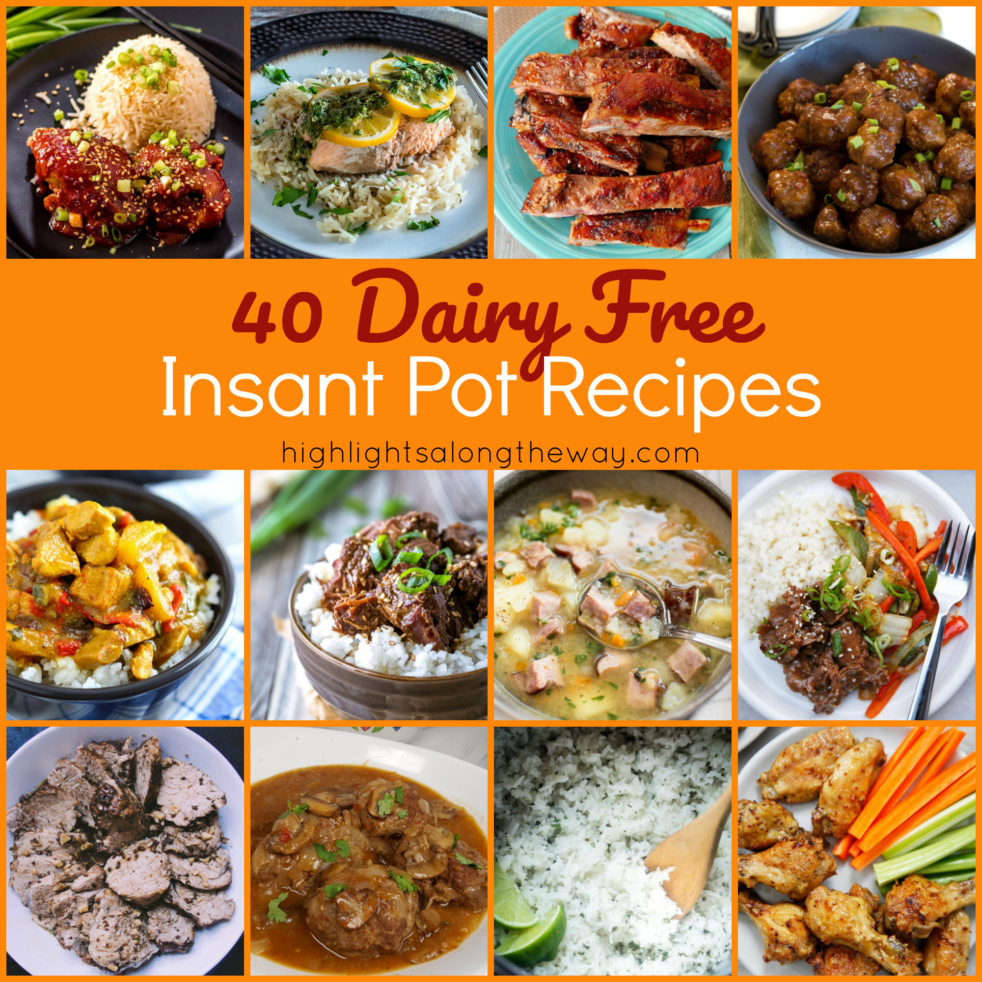 Dairy Free Instant Pot Recipes
 40 delicious and easy Dairy Free recipes for the Insant Pot