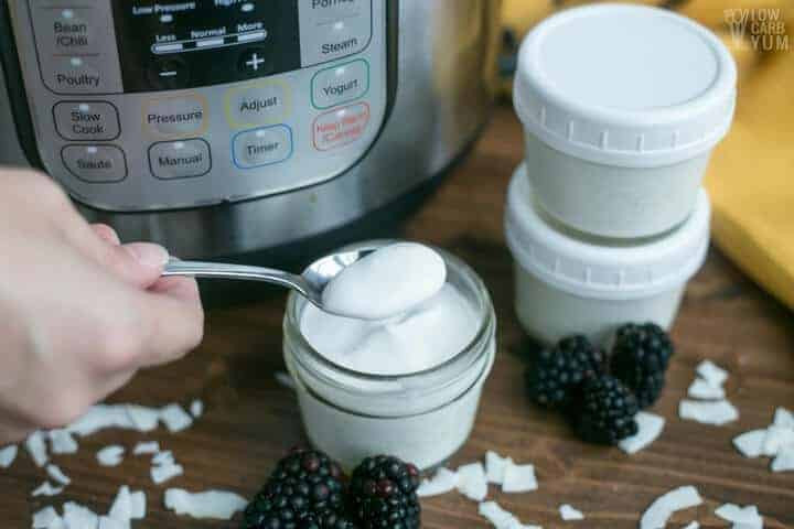 Dairy Free Instant Pot Recipes
 Coconut Dairy Free Yogurt in the Instant Pot