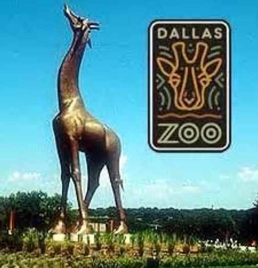 Dallas Zoo Birthday Party
 Pin by Dee McDaniel on Texas