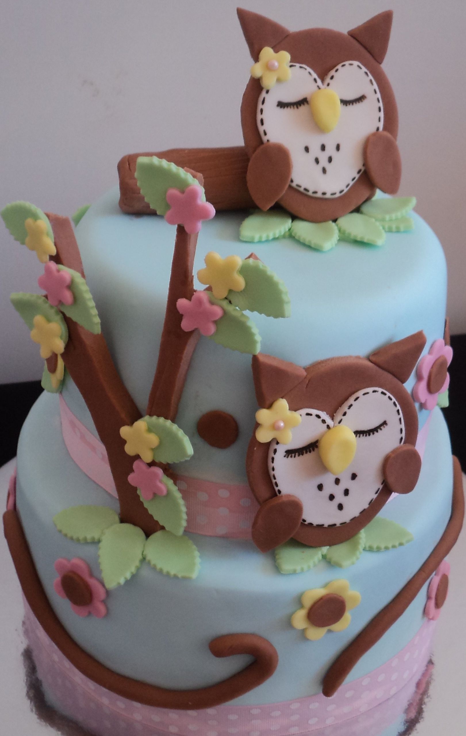 Decorative Birthday Cakes
 Owl Cakes – Decoration Ideas