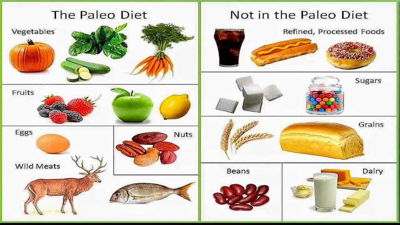 Definition Of Paleo Diet
 WHO INVENTED IT March 2015